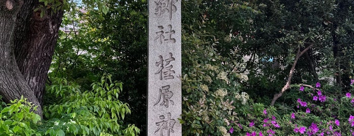 荏原神社 is one of 東海七福神.