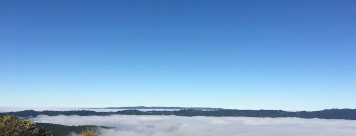 Top Of Kennedy Trail is one of Top picks for Hiking Trails.