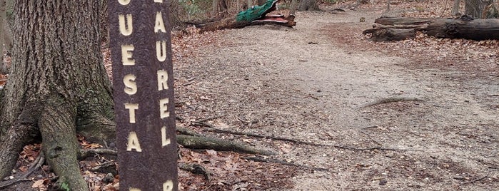 Hartshorne Woods Park (Rocky Point Trail) is one of USA II.