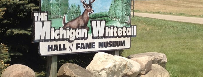 Michigan Whitetail Hall Of Fame Museum is one of Jackson is Pure Michigan.