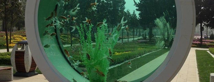 Göztepe 60. Yıl Parkı is one of themaraton.