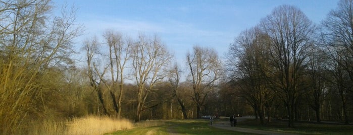 Amsterdamse Bos is one of Amsterdam Things To Do.
