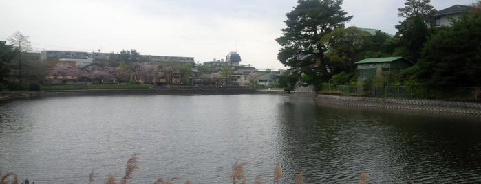 仲ノ池緑地 is one of 公園.