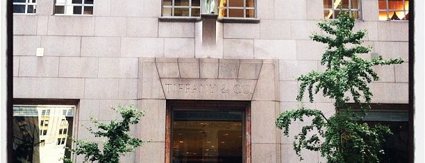 Tiffany & Co. - The Landmark is one of New York City.