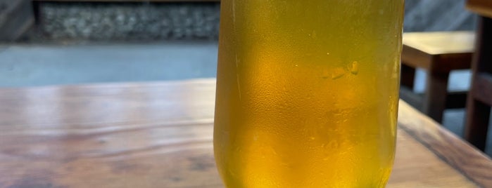 ISO: Beers is one of The 15 Best Places That Are Good for Singles in San Jose.