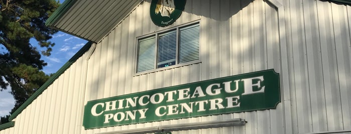 Chincoteague Pony Centre is one of Island Life.