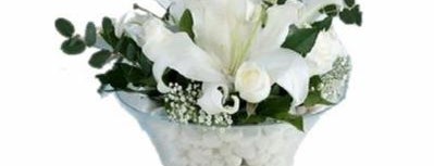 bayrampaşada çiçekçi is one of bağcılar çiçekçi 02126183741.