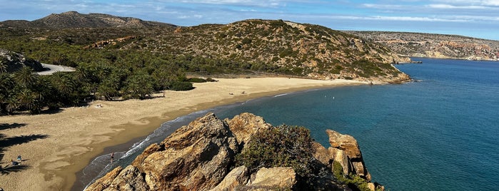 Vai Beach is one of Crete.