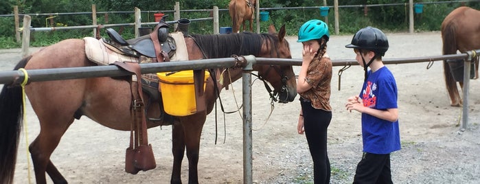 Mountain Creek Riding Stables is one of Posti salvati di Kimmie.