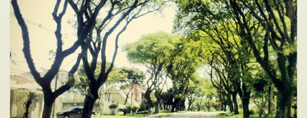 Jardim Social is one of Lugares favoritos de Laysa.