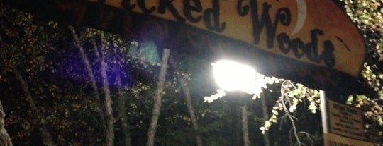 Six Flags Frightfest - Wicked Woods is one of I go here alot :).