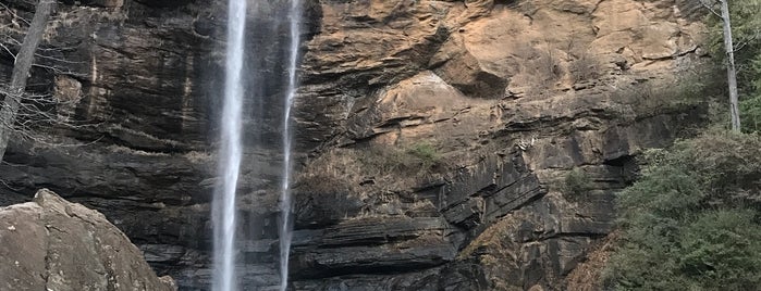 Toccoa Falls is one of Posti che sono piaciuti a Thelocaltripper.