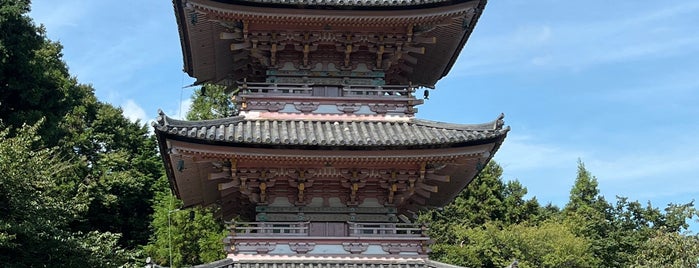 真禅院 三重塔 is one of 東海地方の国宝・重要文化財建造物.