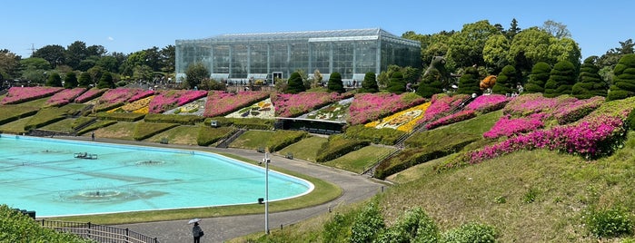 Hamamatsu Flower Park is one of 静岡.