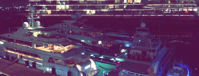 Bvlgari Yacht Clvb Dubai is one of Posti che sono piaciuti a Feras.