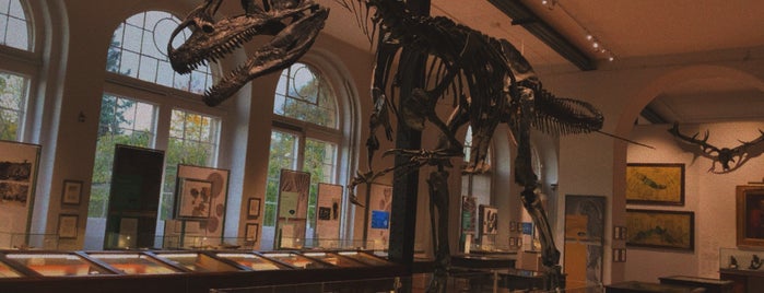 Lapworth Museum of Geology is one of Birmingham.