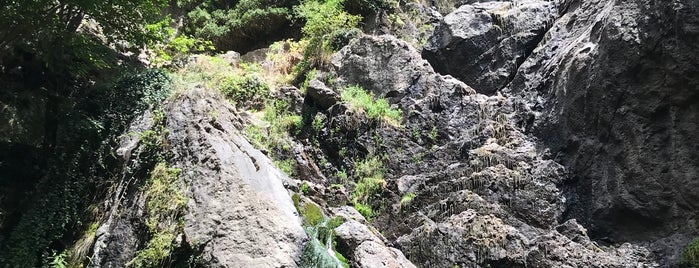 Водопад "Самодивско пръскало" is one of Gajtanaさんのお気に入りスポット.