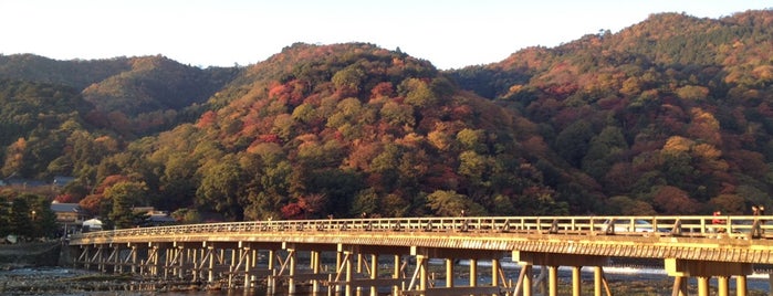 渡月橋 is one of 京都（右京区・嵐山）.