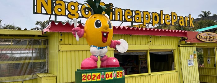 Nago Pineapple Park is one of my Okinawa trip.