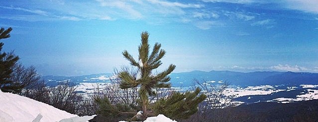 Piste Da Sci Camigliatello is one of Discover Calabria - visit Lamezia Terme area.