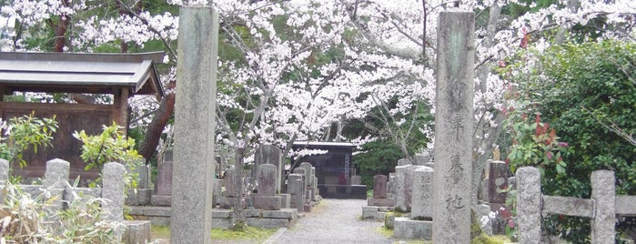 Konkai-komyoji Temple is one of Lieux qui ont plu à Saejima.