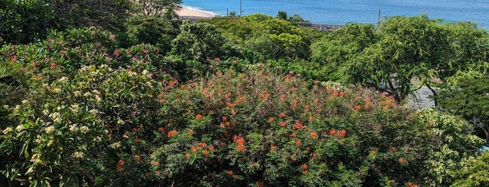 Ka'aha'aina Cafe is one of Hawaii.