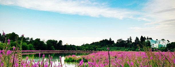 Oaks Bottom Wildlife Refuge is one of Locais curtidos por MLO.