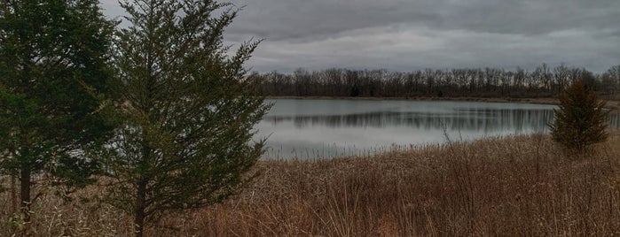 Possum Creek MetroPark is one of Five Rivers Metro Parks.