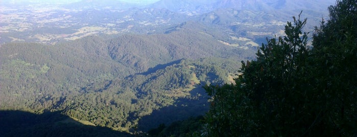 Springbrook National Park is one of beyond "Paradise".