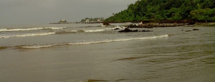 Vaiguinim Beach is one of Goa Beach Guide.
