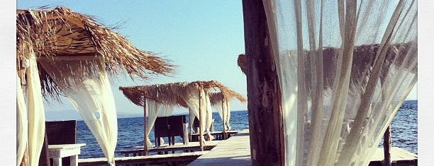 Αλυκές beach bar is one of Mesologgi Best Places.