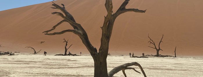 Deadvlei is one of Namibia 🇳🇦.