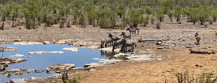 Etosha National Park is one of Jean-François'in Beğendiği Mekanlar.