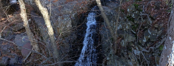 Westfield Falls is one of Tempat yang Disukai John.