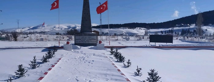 Yukarı Sarıkamış Şehitliği is one of สถานที่ที่ Yeni Nesil ถูกใจ.