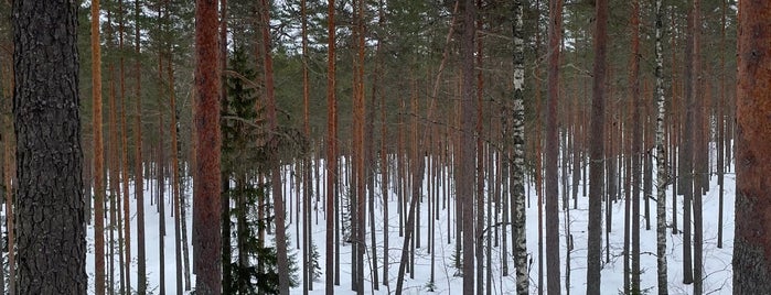 Leivonmäen kansallispuisto is one of Finland.