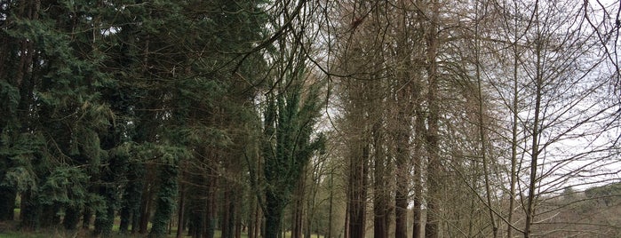 Parc de la Garenne is one of Angers.
