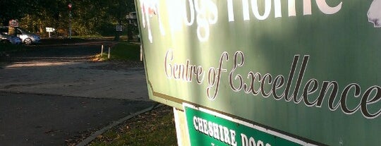 Cheshire Dogs' Home is one of Things to do this weekend (16 - 18 Nov 2012).