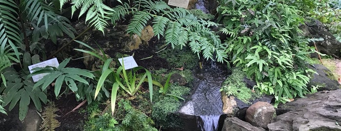 Tropical Garden is one of Lugares favoritos de Paul.