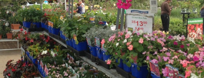 Stein's Garden & Home is one of Shyloh'un Beğendiği Mekanlar.