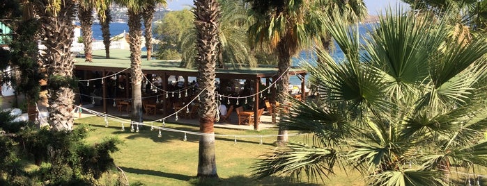 Selvi Beach Otel is one of Lugares favoritos de Taner.