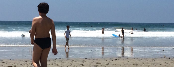 Del Mar Beach is one of Locais curtidos por Taner.