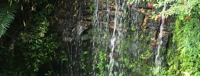 Parque Yayanes is one of lugares x conocer.