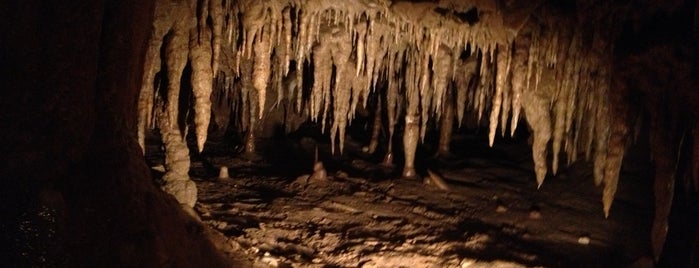 Florida Caverns State Park is one of สถานที่ที่บันทึกไว้ของ Kimmie.