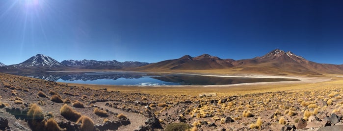 Laguna Miscanti is one of Berni : понравившиеся места.