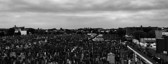 Washington Cemetery is one of New York ToDo's.