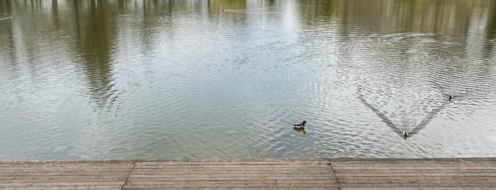 Ostpark is one of Düsseldorf Best: Sightseeing.