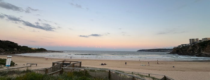 Freshwater Beach is one of NSW.