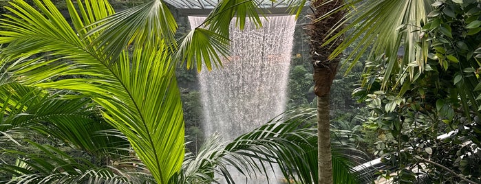 Canopy Bridge is one of Singapore.