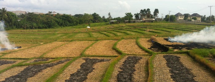 Red Salt Cafe is one of Bali.